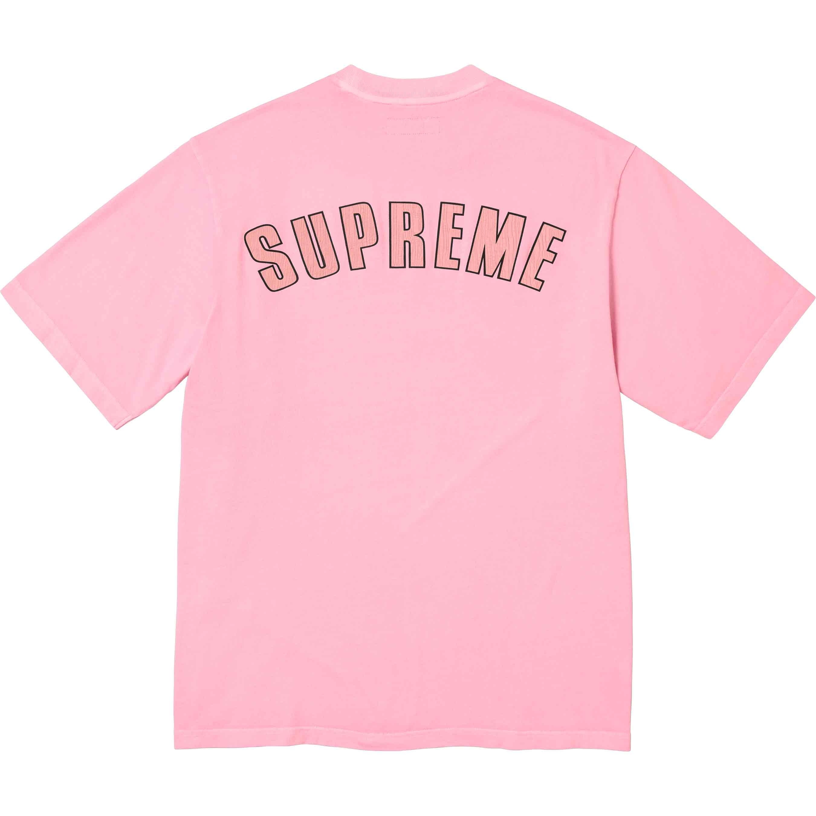 Cracked Arc S/S Top view 13